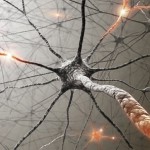 脳を訓練して癖を治そう。新しい神経経路を創る十の方法